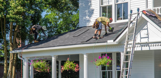 Best Roof Moss and Algae Removal  in Highspire, PA